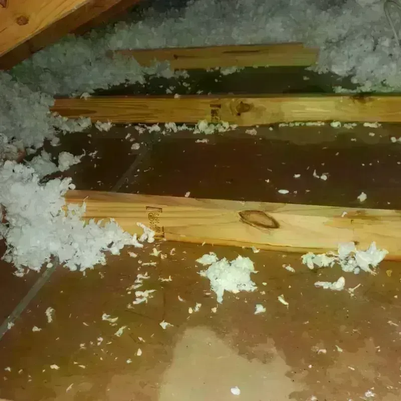 Attic Water Damage in Camuy, PR